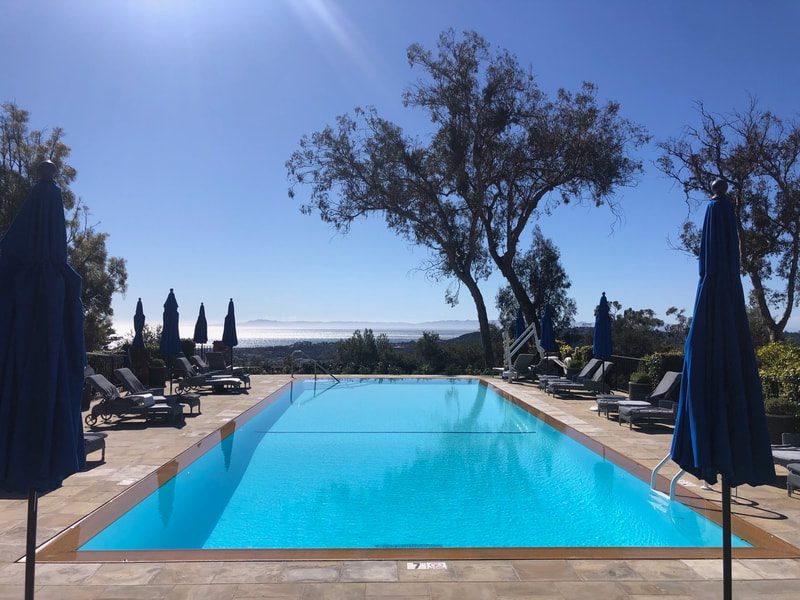 pool surrounded by tree